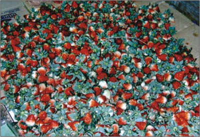 2009-02-04__nt03.jpg